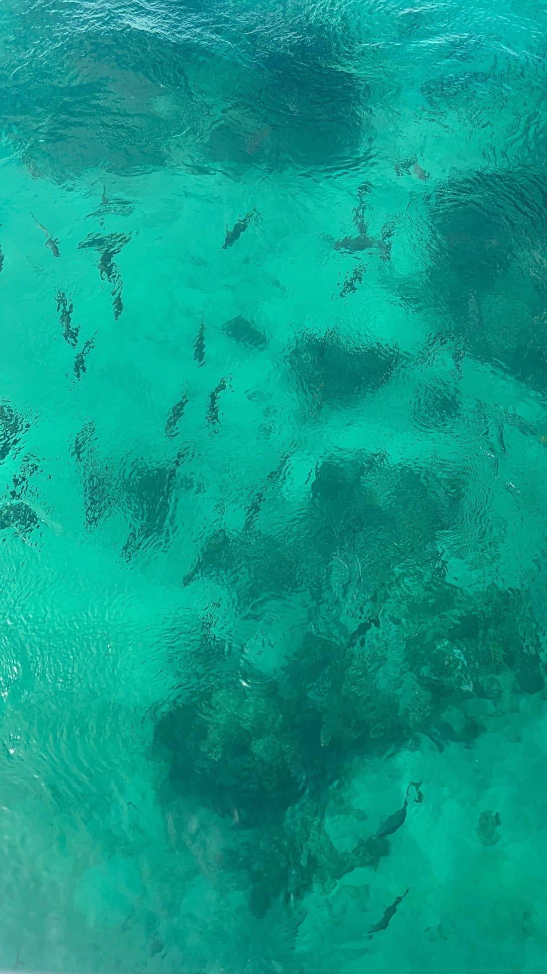 Punta Cana: 4 Trips, 1 Destination We Keep Falling in Love With